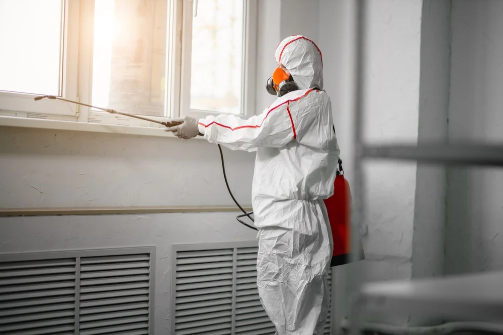 Professional mold remediation services in Webster, WI